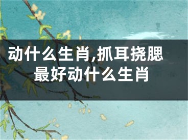 动什么生肖,抓耳挠腮最好动什么生肖