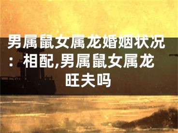 男属鼠女属龙婚姻状况：相配,男属鼠女属龙旺夫吗