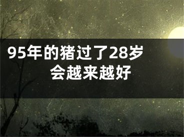 95年的猪过了28岁会越来越好