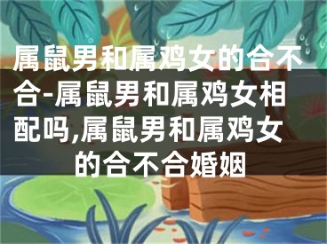 属鼠男和属鸡女的合不合-属鼠男和属鸡女相配吗,属鼠男和属鸡女的合不合婚姻