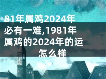 81年属鸡2024年必有一难,1981年属鸡的2024年的运怎么样
