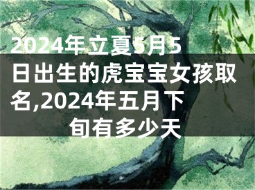 2024年立夏5月5日出生的虎宝宝女孩取名,2024年五月下旬有多少天
