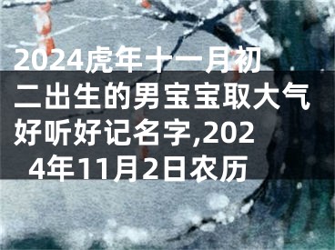 2024虎年十一月初二出生的男宝宝取大气好听好记名字,2024年11月2日农历
