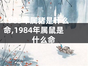1983年属猪是什么命,1984年属鼠是什么命