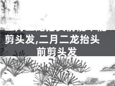 二月二龙抬头前能不能剪头发,二月二龙抬头前剪头发