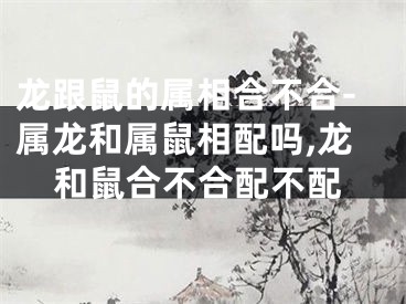 龙跟鼠的属相合不合-属龙和属鼠相配吗,龙和鼠合不合配不配