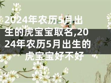 2024年农历5月出生的虎宝宝取名,2024年农历5月出生的虎宝宝好不好