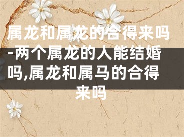 属龙和属龙的合得来吗-两个属龙的人能结婚吗,属龙和属马的合得来吗