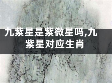九紫星是紫微星吗,九紫星对应生肖