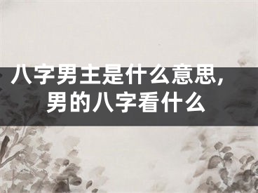 八字男主是什么意思,男的八字看什么