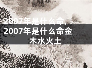2007年是什么命,2007年是什么命金木水火土
