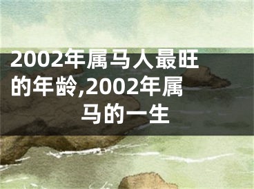 2002年属马人最旺的年龄,2002年属马的一生