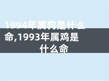 1994年属狗是什么命,1993年属鸡是什么命