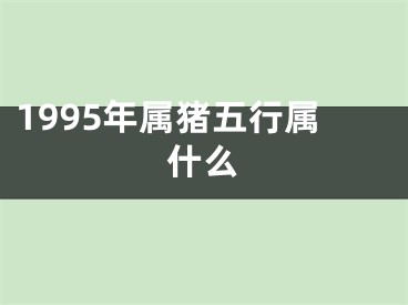 1995年属猪五行属什么