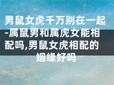男鼠女虎千万别在一起-属鼠男和属虎女能相配吗,男鼠女虎相配的姻缘好吗