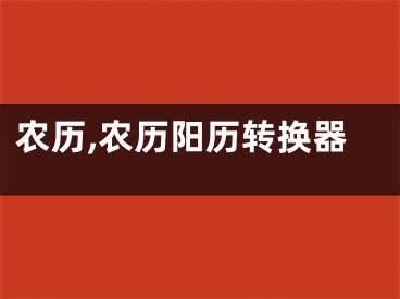 农历,农历阳历转换器