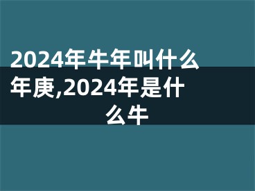 2024年牛年叫什么年庚,2024年是什么牛