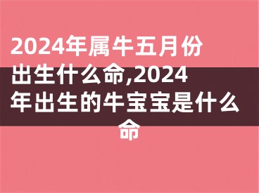 2024年属牛五月份出生什么命,2024年出生的牛宝宝是什么命
