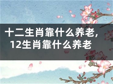 十二生肖靠什么养老,12生肖靠什么养老