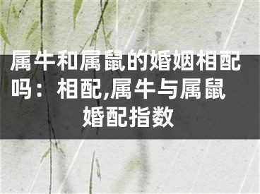 属牛和属鼠的婚姻相配吗：相配,属牛与属鼠婚配指数