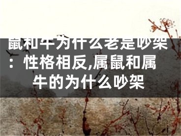 鼠和牛为什么老是吵架：性格相反,属鼠和属牛的为什么吵架