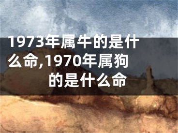 1973年属牛的是什么命,1970年属狗的是什么命