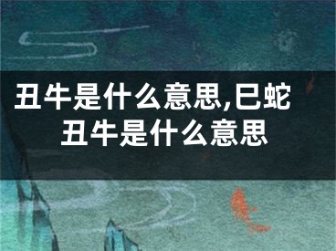 丑牛是什么意思,巳蛇丑牛是什么意思