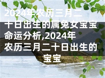 2024年农历三月二十日出生的属兔女宝宝命运分析,2024年农历三月二十日出生的宝宝