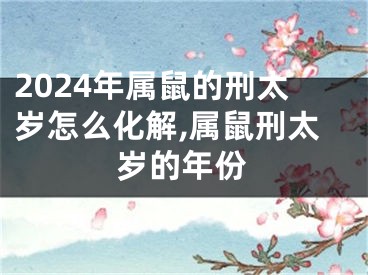2024年属鼠的刑太岁怎么化解,属鼠刑太岁的年份