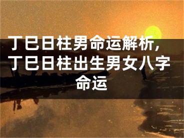 丁巳日柱男命运解析,丁巳日柱出生男女八字命运