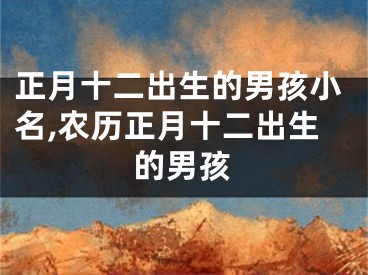 正月十二出生的男孩小名,农历正月十二出生的男孩