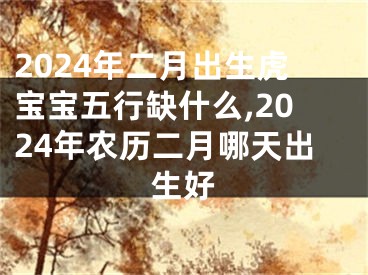 2024年二月出生虎宝宝五行缺什么,2024年农历二月哪天出生好