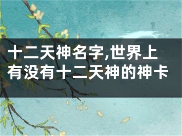 十二天神名字,世界上有没有十二天神的神卡