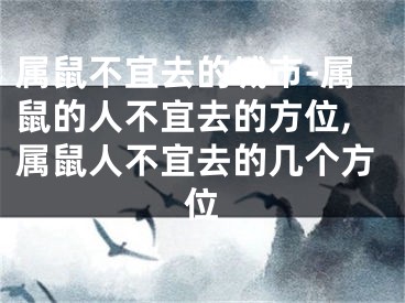 属鼠不宜去的城市-属鼠的人不宜去的方位,属鼠人不宜去的几个方位
