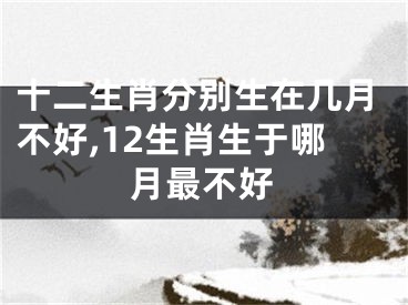 十二生肖分别生在几月不好,12生肖生于哪月最不好