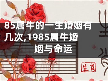 85属牛的一生婚姻有几次,1985属牛婚姻与命运