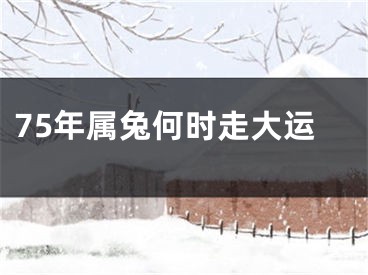 75年属兔何时走大运