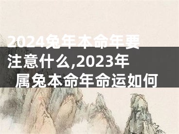 2024兔年本命年要注意什么,2023年属兔本命年命运如何