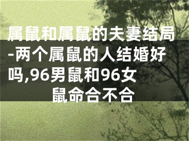 属鼠和属鼠的夫妻结局-两个属鼠的人结婚好吗,96男鼠和96女鼠命合不合