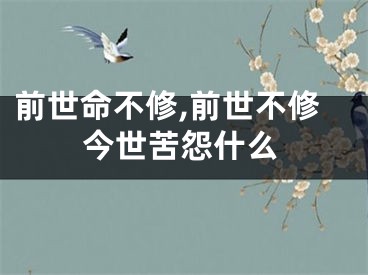 前世命不修,前世不修今世苦怨什么