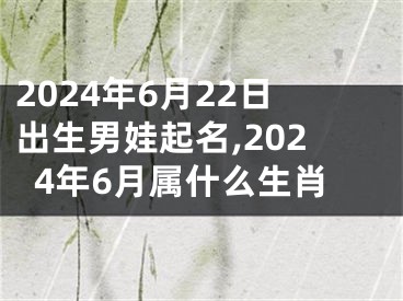 2024年6月22日出生男娃起名,2024年6月属什么生肖