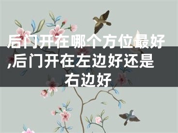 后门开在哪个方位最好,后门开在左边好还是右边好