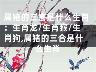 属猪的三害是什么生肖：生肖龙/生肖猴/生肖狗,属猪的三合是什么生肖