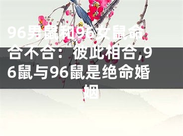 96男鼠和96女鼠命合不合：彼此相合,96鼠与96鼠是绝命婚姻