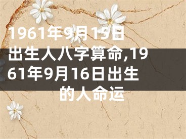 1961年9月15日出生人八字算命,1961年9月16日出生的人命运