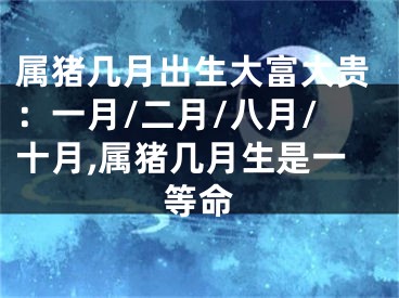 属猪几月出生大富大贵：一月/二月/八月/十月,属猪几月生是一等命