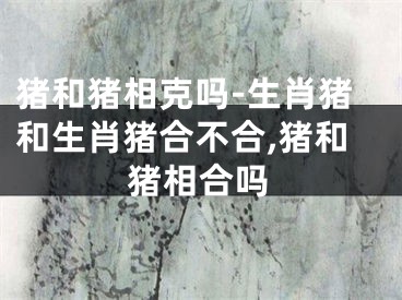 猪和猪相克吗-生肖猪和生肖猪合不合,猪和猪相合吗
