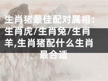 生肖猪最佳配对属相：生肖虎/生肖兔/生肖羊,生肖猪配什么生肖最合适