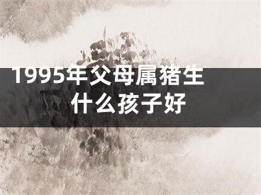 1995年父母属猪生什么孩子好