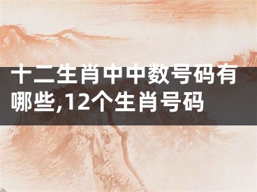 十二生肖中中数号码有哪些,12个生肖号码